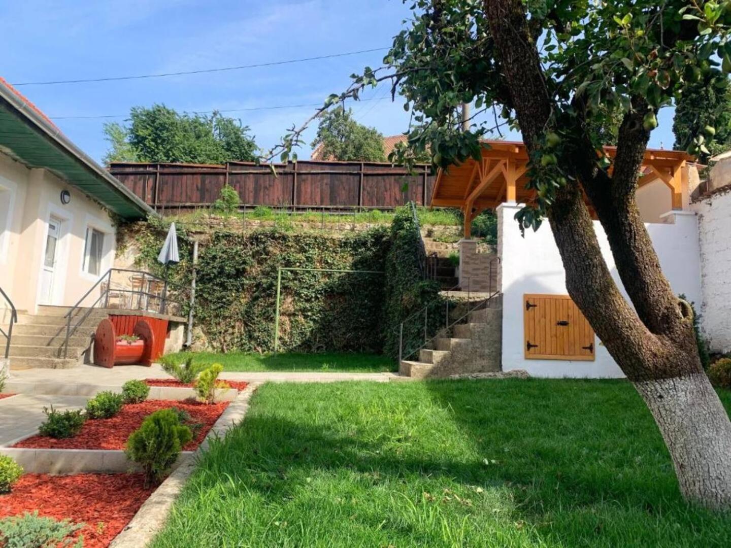 Schei Residence Brasov Exterior photo